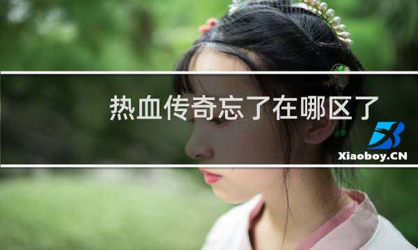 热血传奇忘了在哪区了