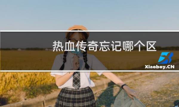 热血传奇忘记哪个区