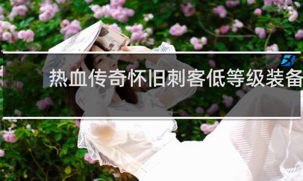 热血传奇怀旧刺客低等级装备