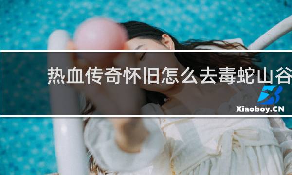 热血传奇怀旧怎么去毒蛇山谷