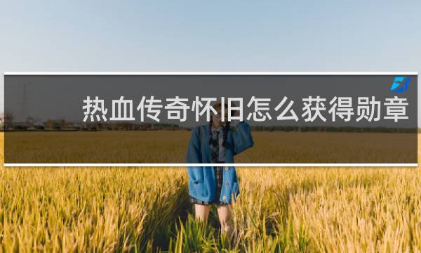 热血传奇怀旧怎么获得勋章