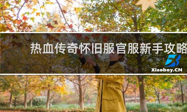 热血传奇怀旧服官服新手攻略
