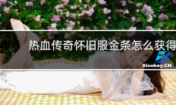 热血传奇怀旧服金条怎么获得