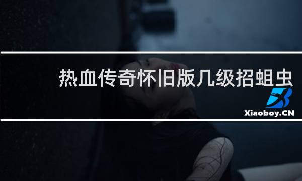 热血传奇怀旧版几级招蛆虫