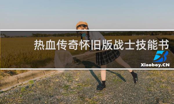 热血传奇怀旧版战士技能书