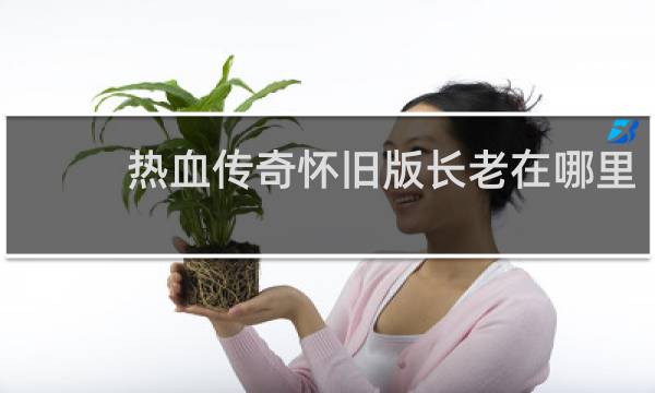 热血传奇怀旧版长老在哪里