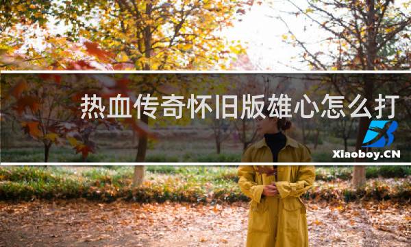 热血传奇怀旧版雄心怎么打