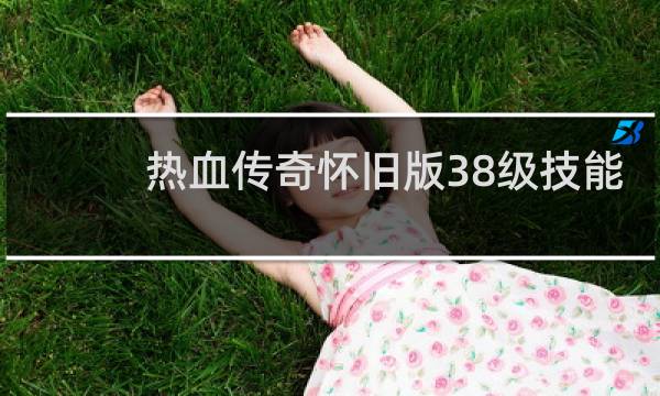 热血传奇怀旧版38级技能