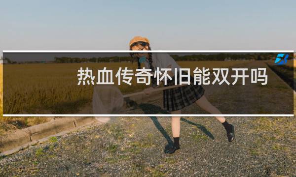 热血传奇怀旧能双开吗