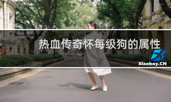热血传奇怀每级狗的属性