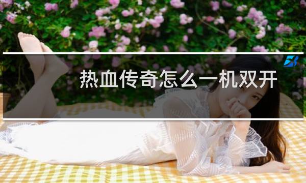 热血传奇怎么一机双开