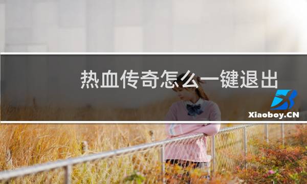 热血传奇怎么一键退出