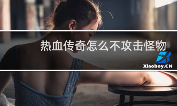 热血传奇怎么不攻击怪物