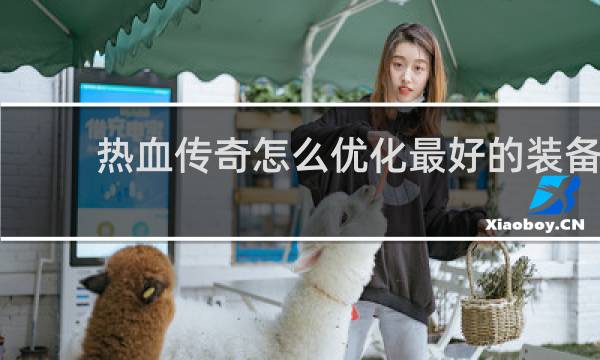 热血传奇怎么优化最好的装备
