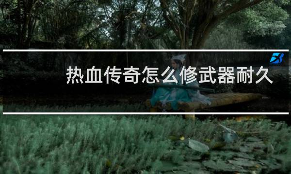 热血传奇怎么修武器耐久