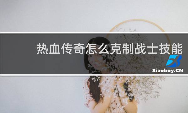 热血传奇怎么克制战士技能