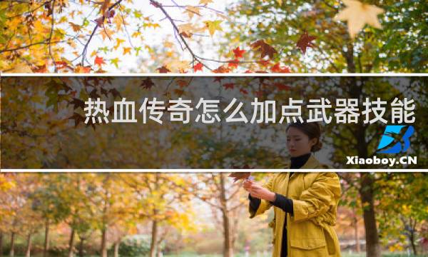 热血传奇怎么加点武器技能