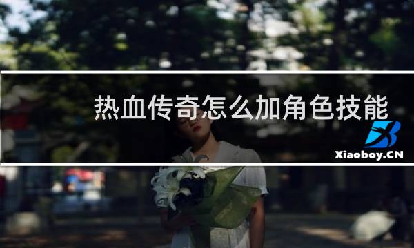 热血传奇怎么加角色技能