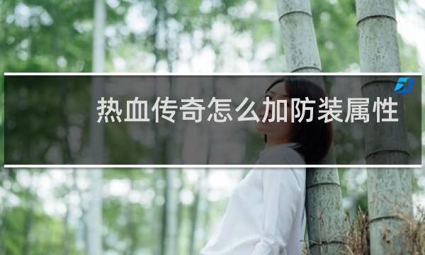 热血传奇怎么加防装属性