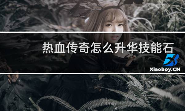 热血传奇怎么升华技能石