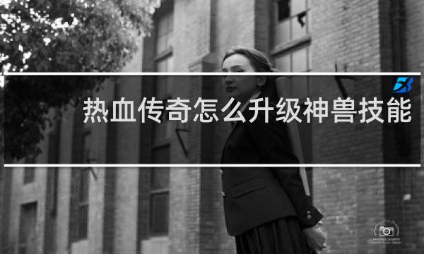 热血传奇怎么升级神兽技能