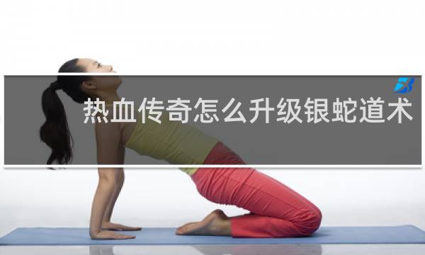 热血传奇怎么升级银蛇道术