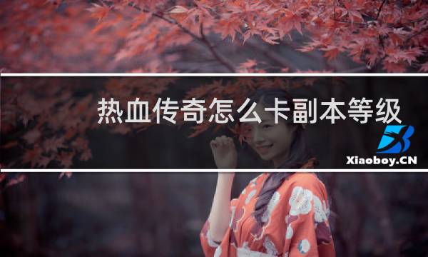 热血传奇怎么卡副本等级