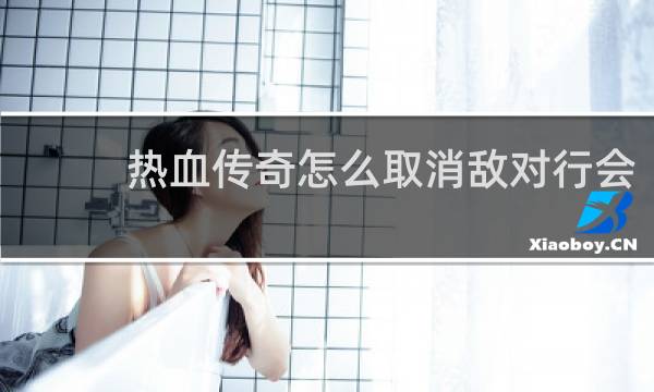 热血传奇怎么取消敌对行会