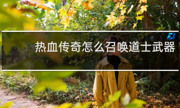 热血传奇怎么召唤道士武器