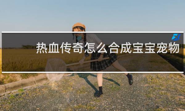热血传奇怎么合成宝宝宠物