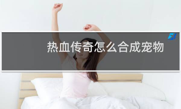 热血传奇怎么合成宠物