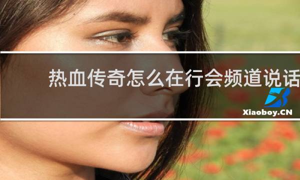 热血传奇怎么在行会频道说话