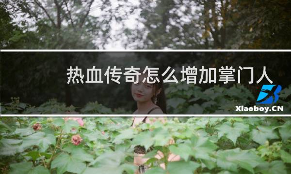 热血传奇怎么增加掌门人