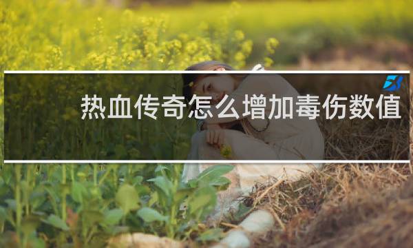 热血传奇怎么增加毒伤数值