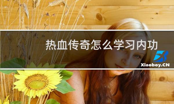热血传奇怎么学习内功