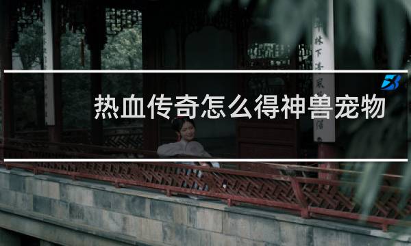 热血传奇怎么得神兽宠物