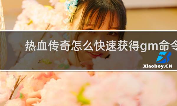 热血传奇怎么快速获得gm命令