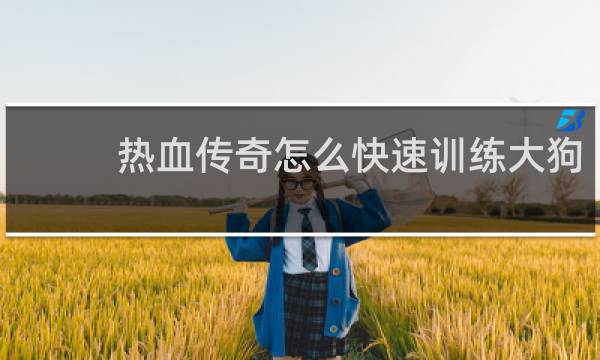热血传奇怎么快速训练大狗