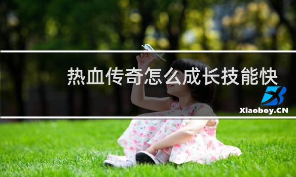 热血传奇怎么成长技能快