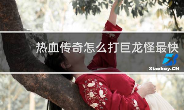 热血传奇怎么打巨龙怪最快