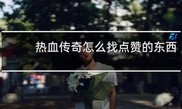 热血传奇怎么找点赞的东西