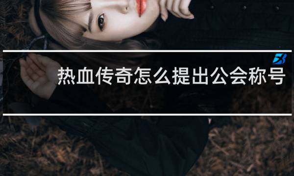 热血传奇怎么提出公会称号