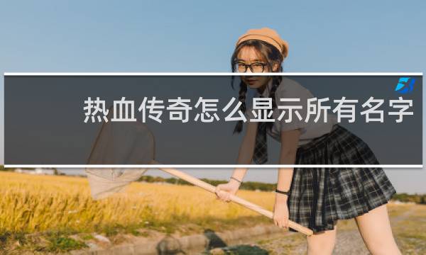 热血传奇怎么显示所有名字