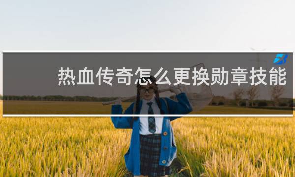 热血传奇怎么更换勋章技能