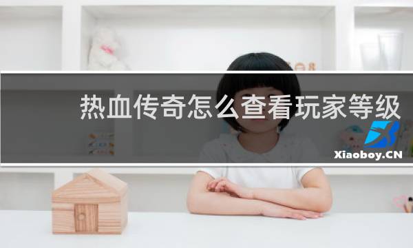 热血传奇怎么查看玩家等级