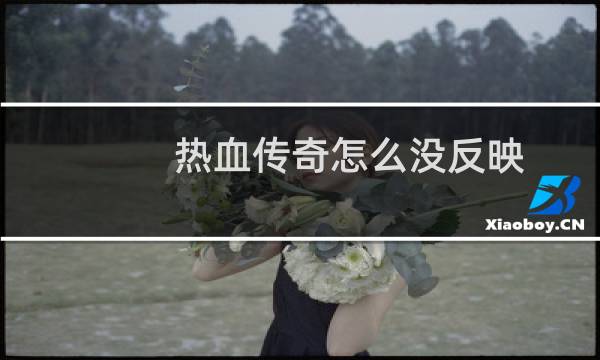 热血传奇怎么没反映