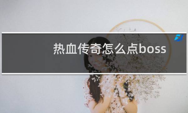 热血传奇怎么点boss