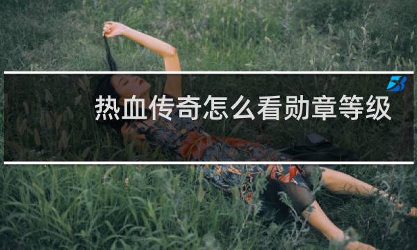 热血传奇怎么看勋章等级