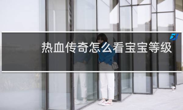 热血传奇怎么看宝宝等级