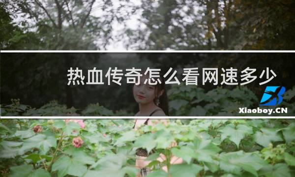 热血传奇怎么看网速多少